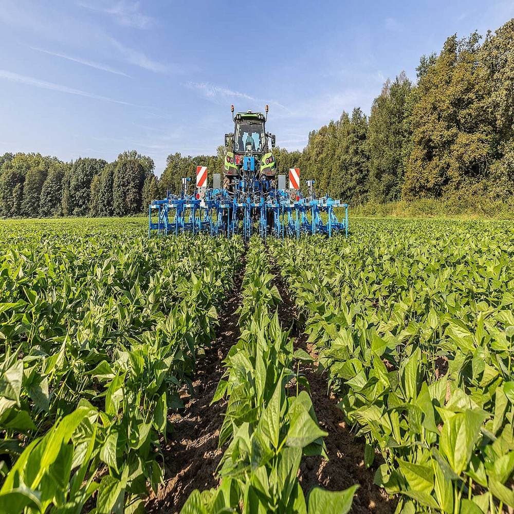 CropCare & Pflanzenschutz